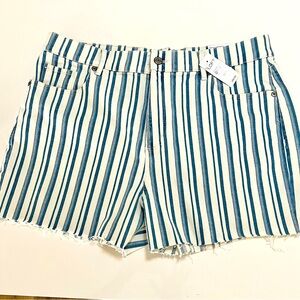 Brand New Loft White and Blue Striped Shorts